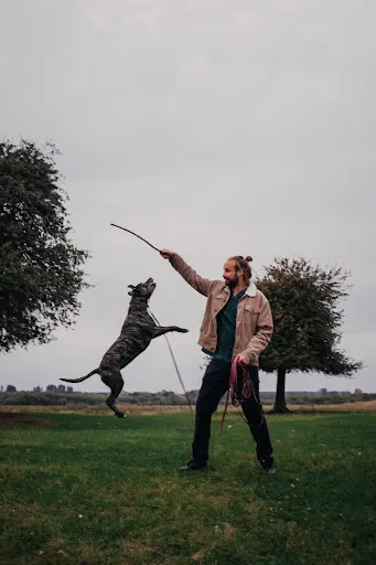 Psichiatra Behawiorysta Zwierząt